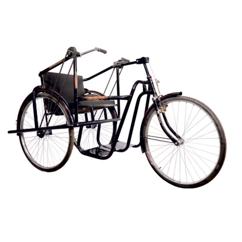 Hand Propelled Tricycle (Pro)